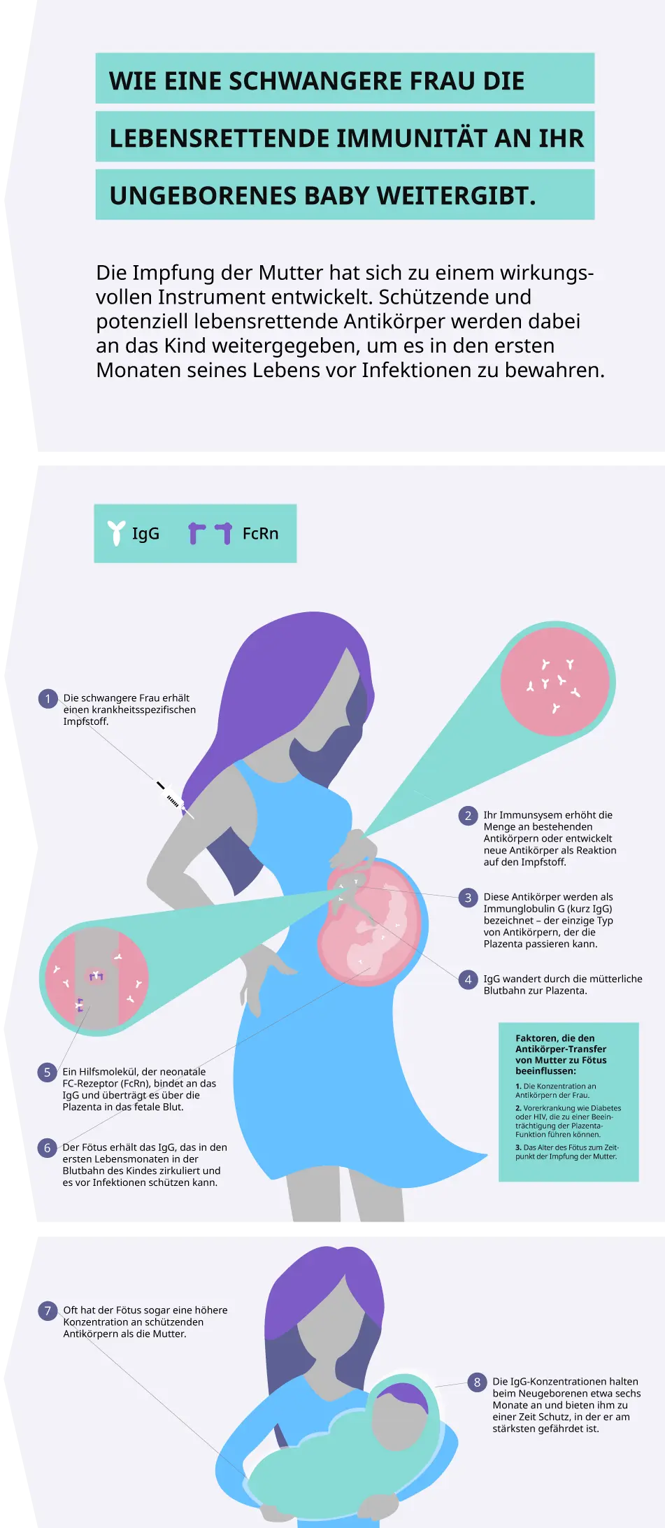 antikörpersuchtest schwangerschaft - Was bedeutet ein positiver Antikörpersuchtest
