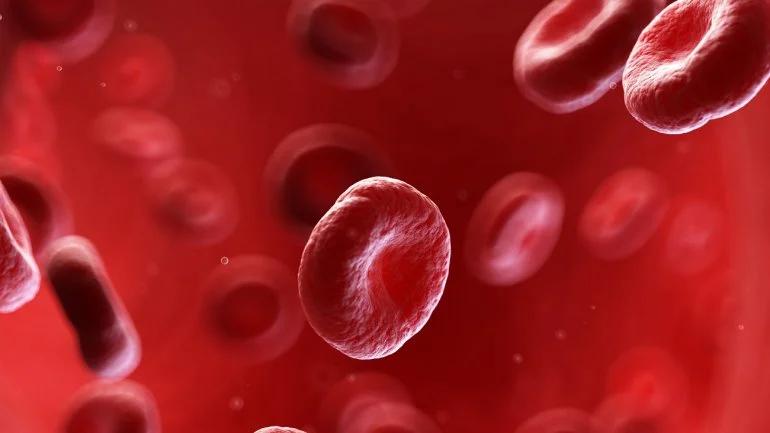 erythrozyten erhöhter wert - Was bedeutet erhöhte Erythrozyten