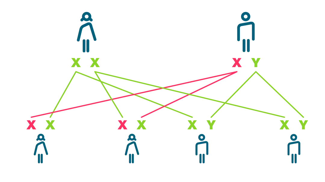 bluter geburt - Was bedeutet es ein Bluter zu sein