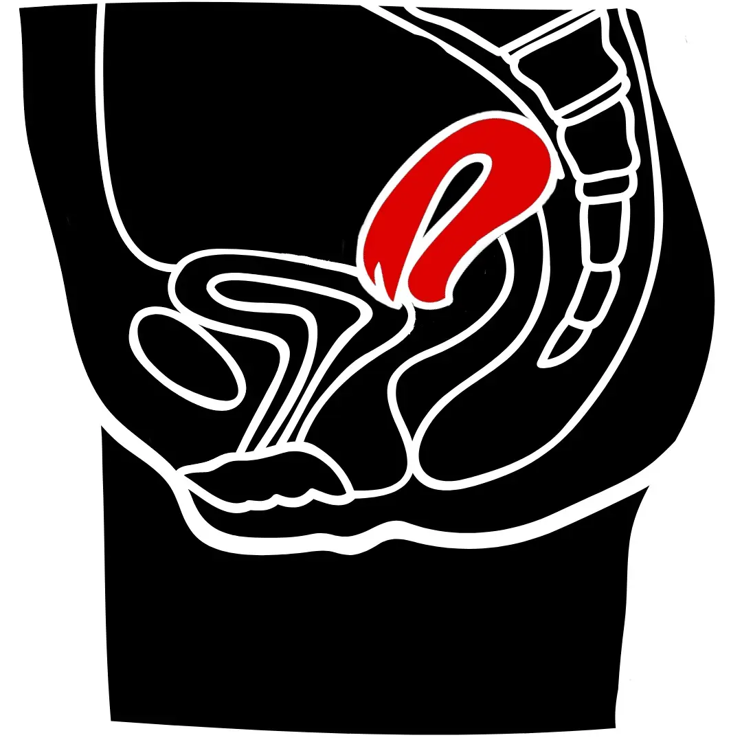 Uterus Antevertiert Anteflektiert: Was bedeutet das für die Schwangerschaft? - Was bedeutet Uterus Antevertiert Anteflektiert uterus anteflektiert schwangerschaft - Was bedeutet Uterus Antevertiert Anteflektiert