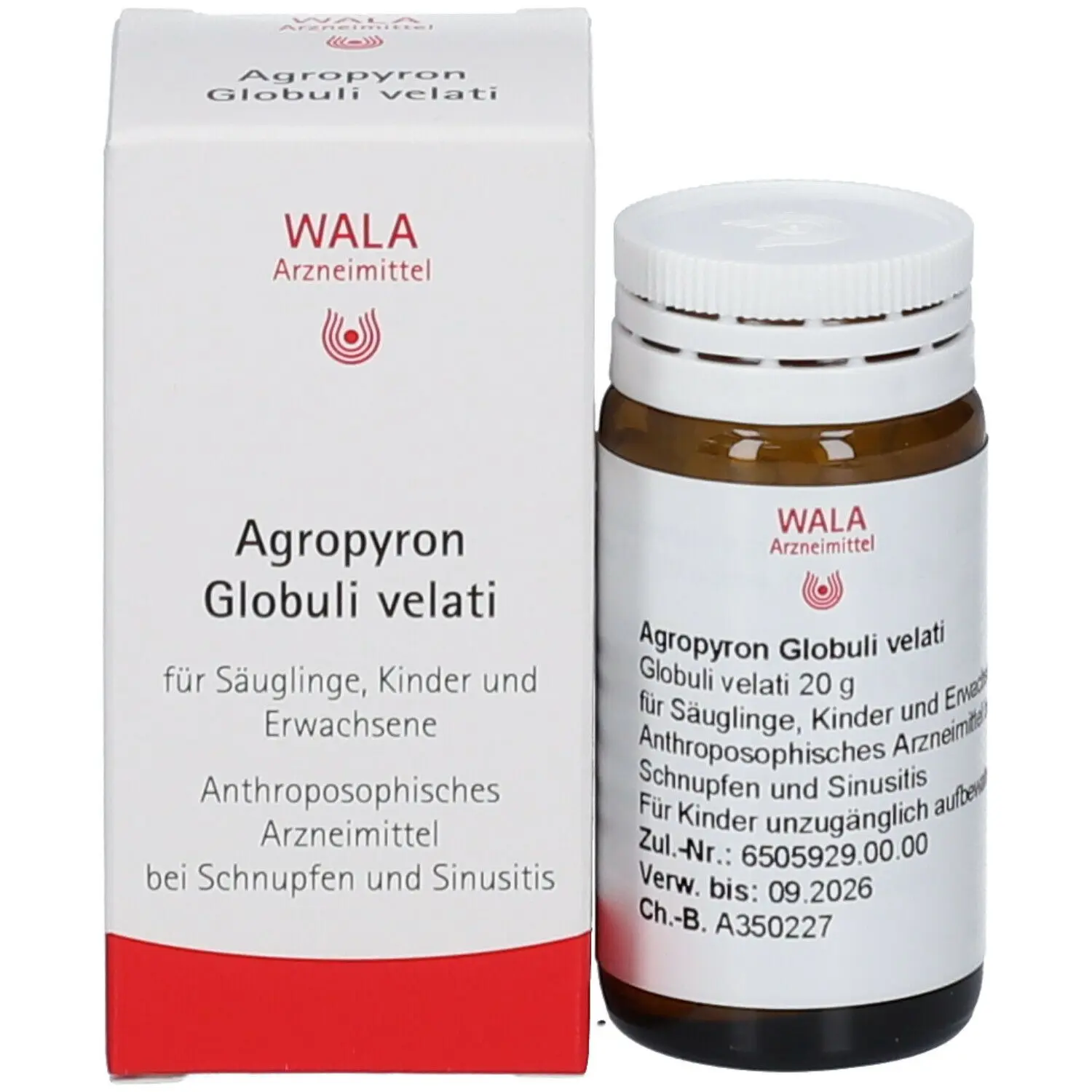 wala agropyron globuli velati schwangerschaft - Was bedeutet Velati
