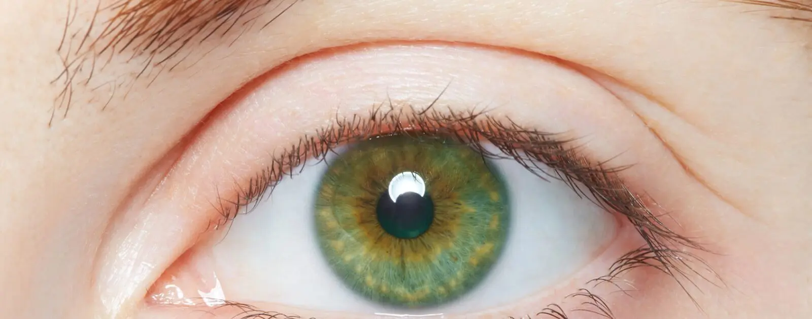 grüne auge bedeutung - Was bedeutet wenn man grüne Augen hat