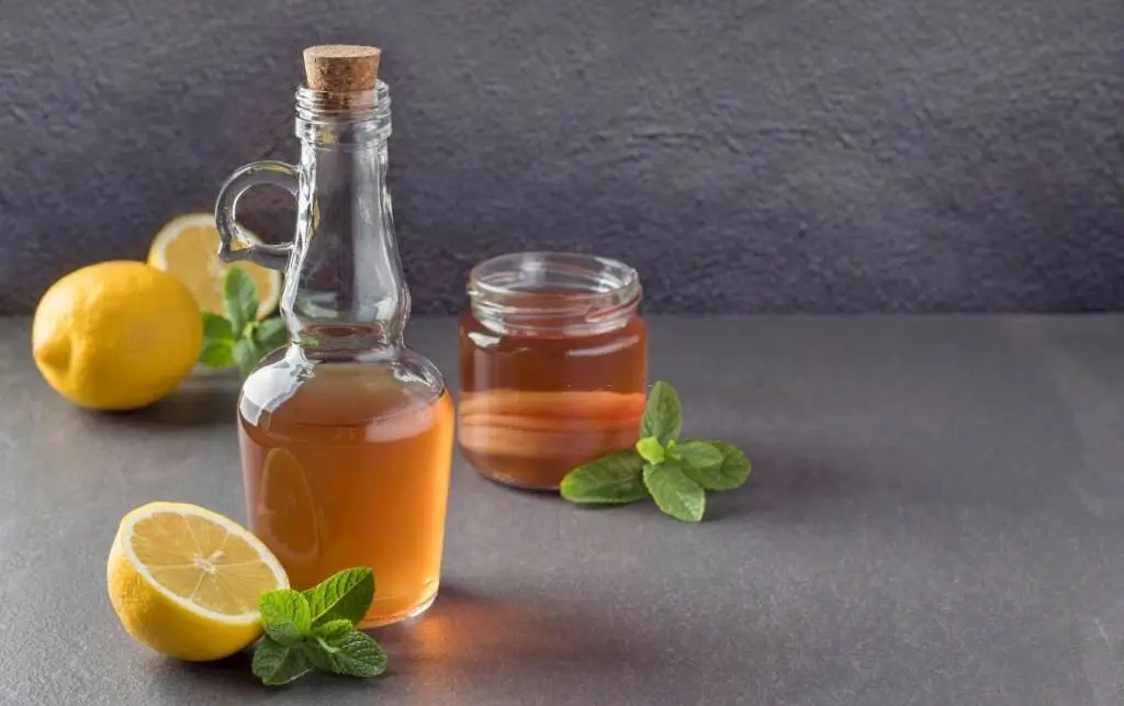 switchel rezept geburt - Was bewirkt Apfelessig mit Wasser und Zitrone