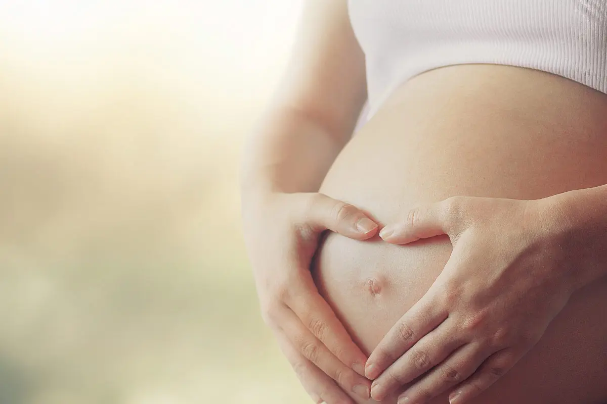 Artemisia annua in der Schwangerschaft: Was Sie wissen sollten - Was bewirkt Artemisia annua im Körper artemisia annua schwangerschaft - Was bewirkt Artemisia annua im Körper