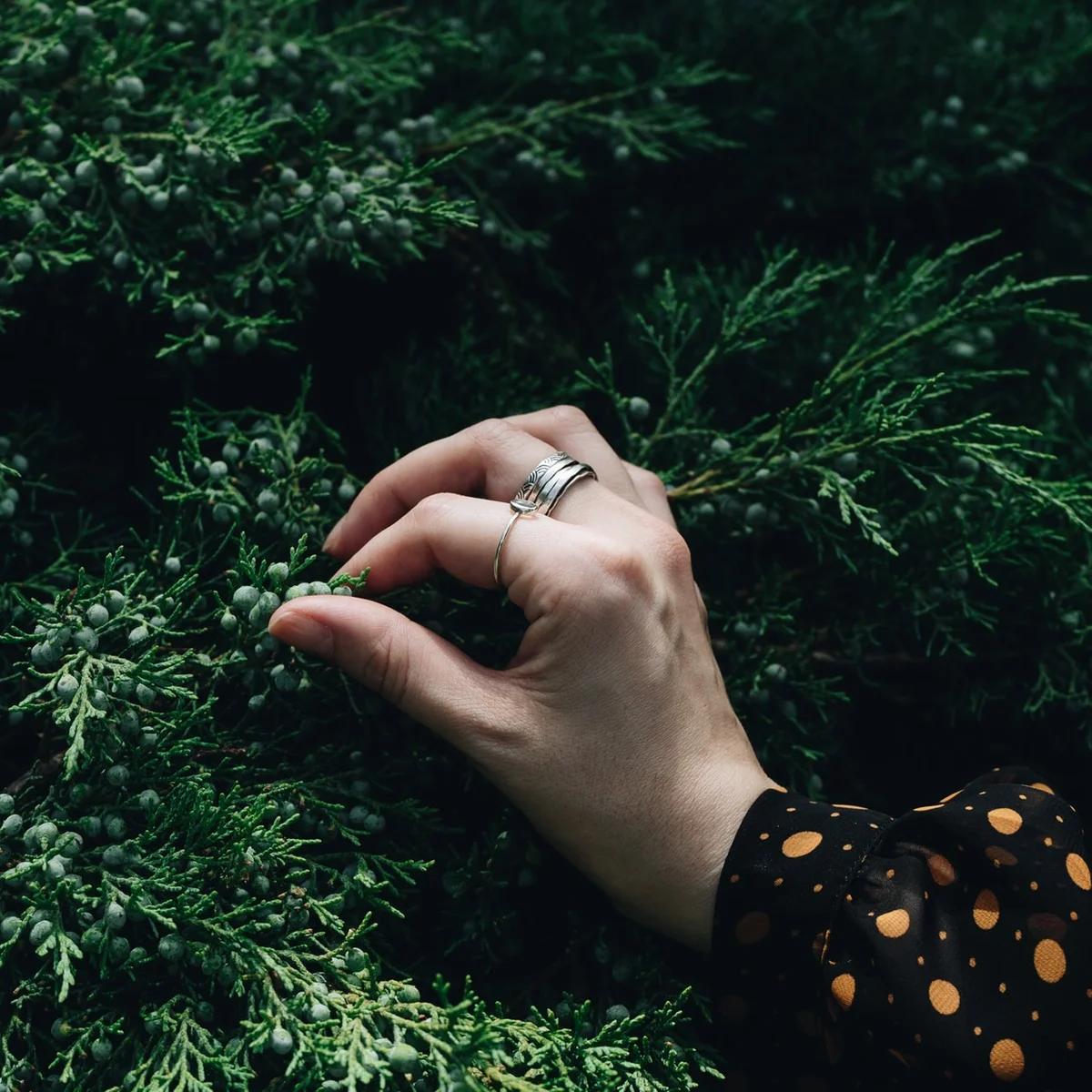 wacholder schwangerschaft - Was bewirkt Wacholder