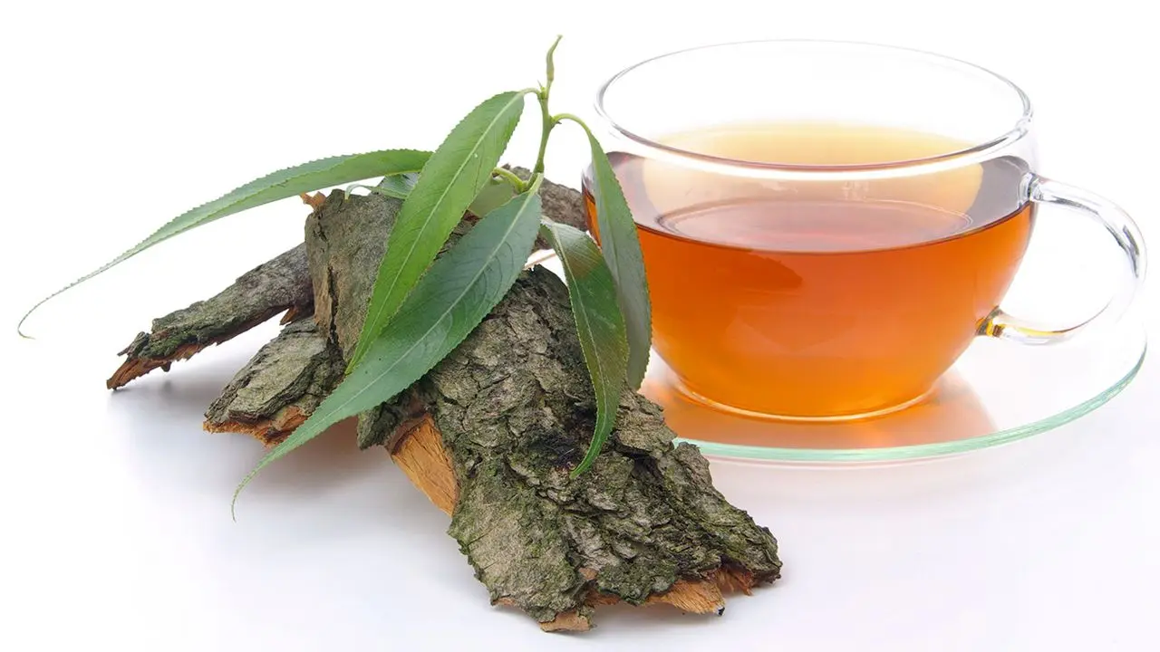 weidenrinde schwangerschaft - Was bewirkt Weidenrinde