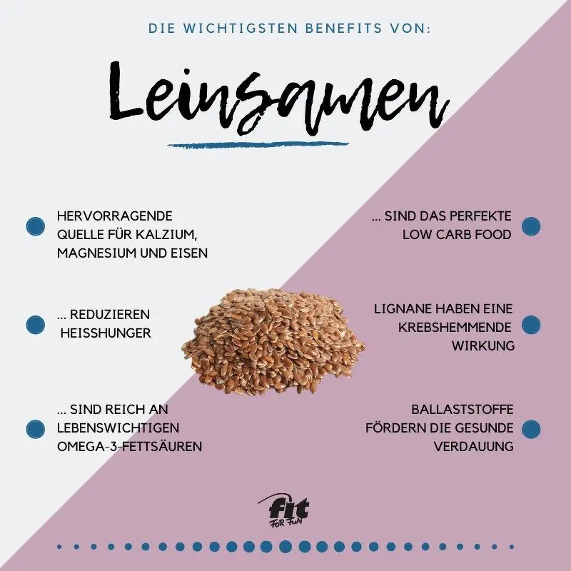 geschrotete leinsamen schwangerschaft - Was bringen Leinsamen geschrotet
