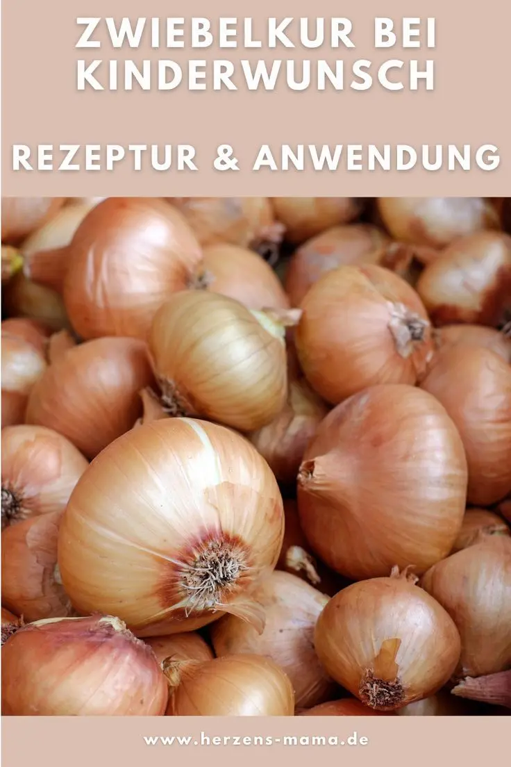 zwiebelkur schwangerschaft - Was bringt die Zwiebelkur