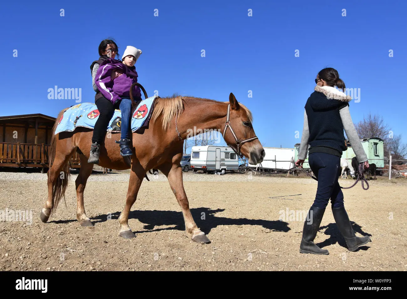 reiten als therapie - Was bringt Reiten für den Körper