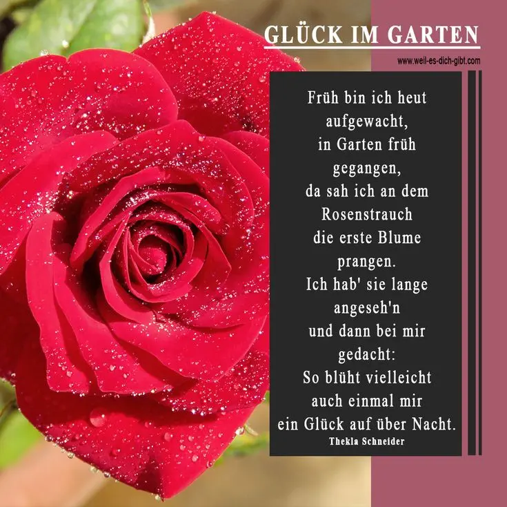 blumen gedichte kurz - Was geben uns Blumen