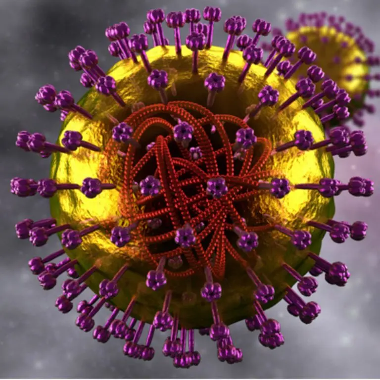 torch test schwangerschaft - Was gehört zur TORCH Serologie