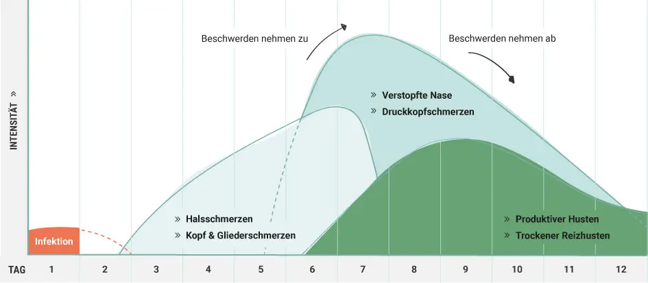 dauert erkältung in schwangerschaft länger - Was hilft bei Erkältung in SSW