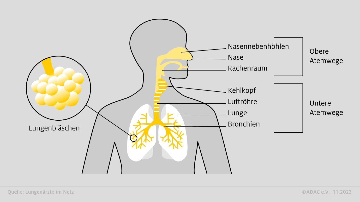 spastische bronchitis - Was Inhalieren bei spastischer Bronchitis