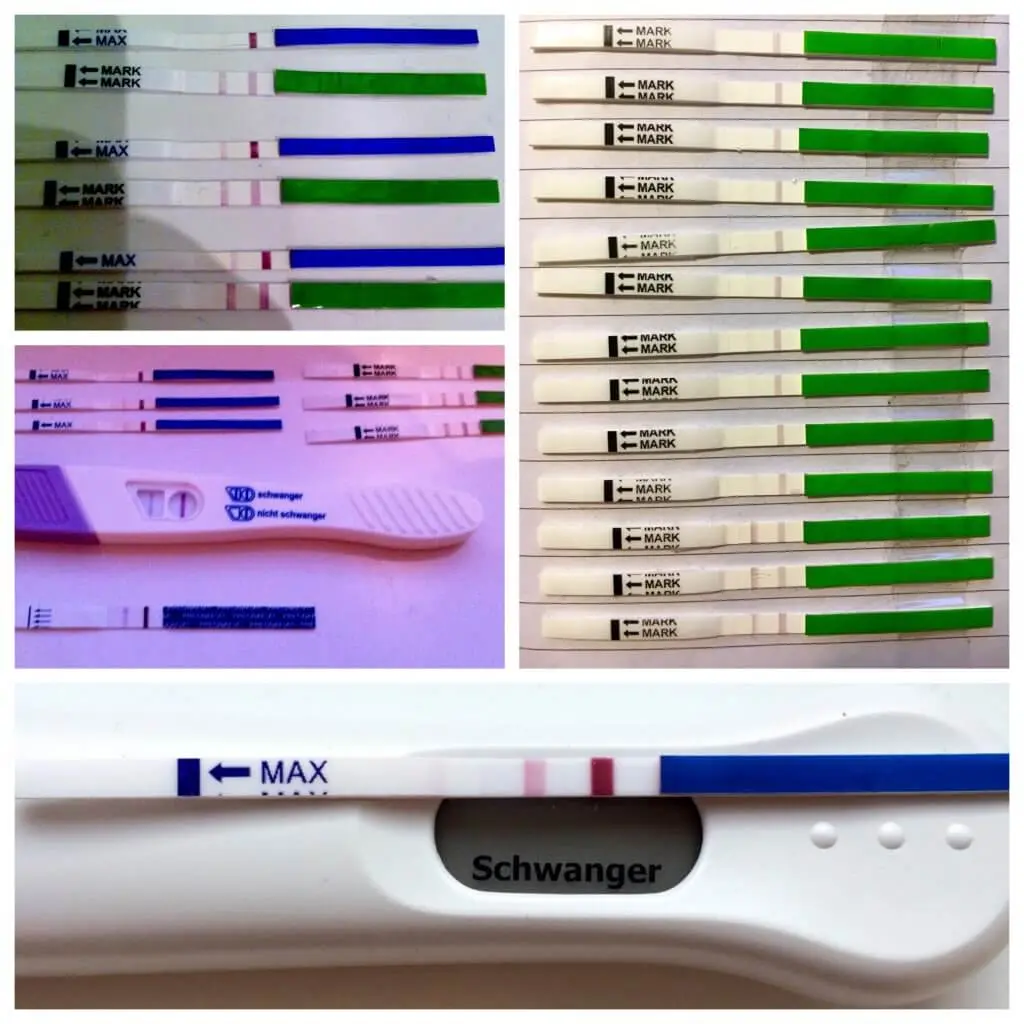 nmt schwangerschaft - Was ist der NMT