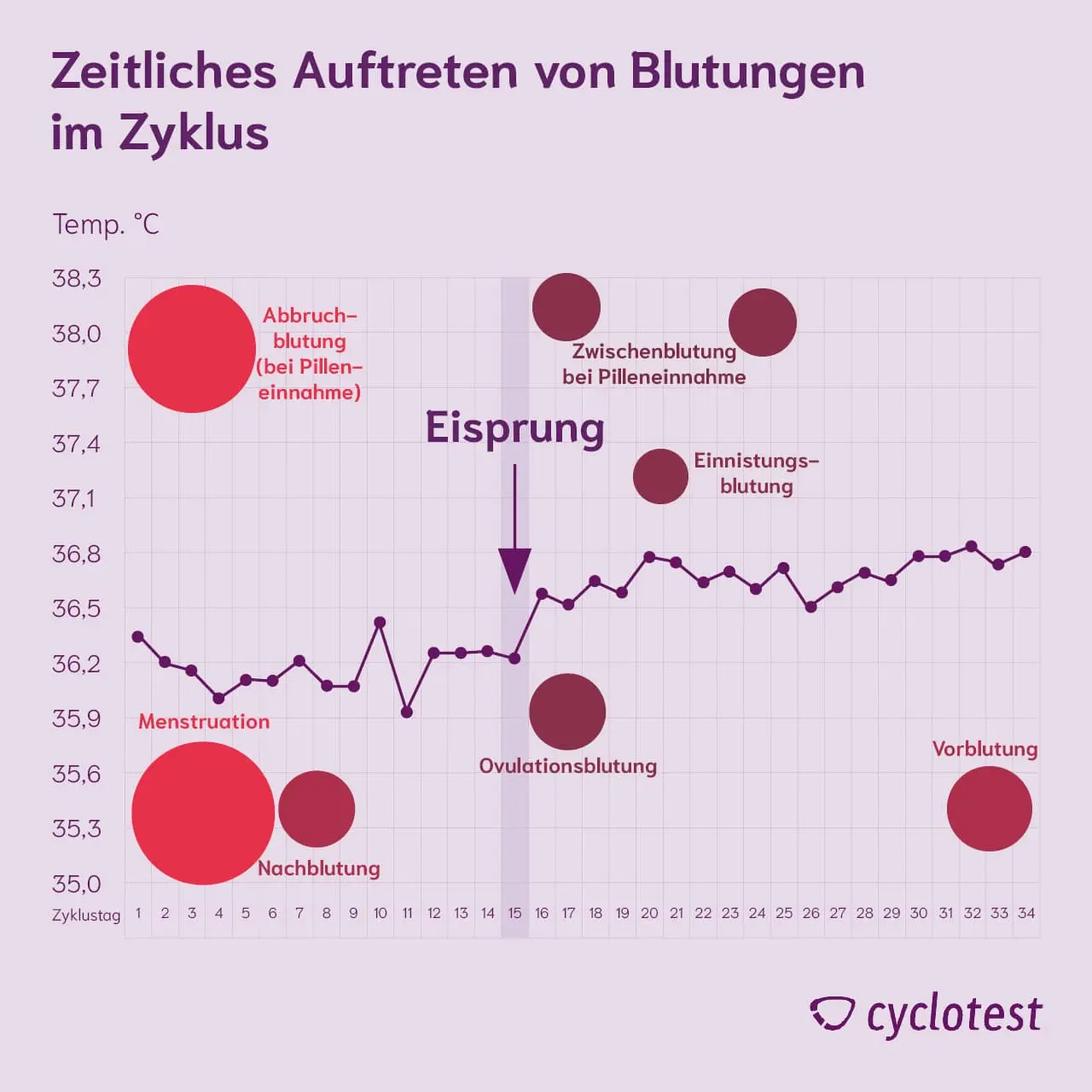 zwischenblutungen nach geburt - Was ist der Unterschied zwischen Schmierblutung und Zwischenblutung