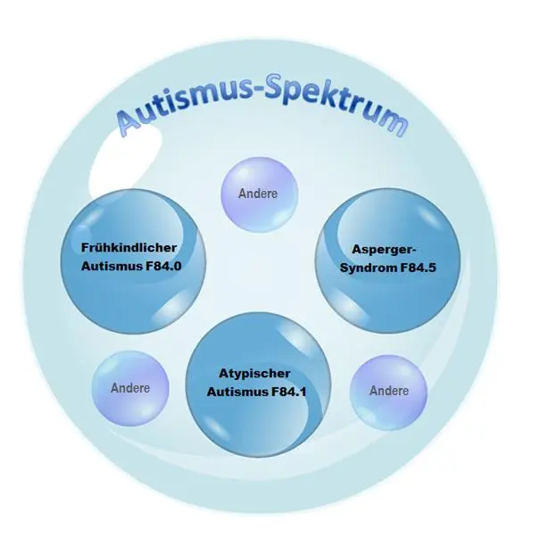 autistin bedeutung - Was ist die häufigste Form von Autismus