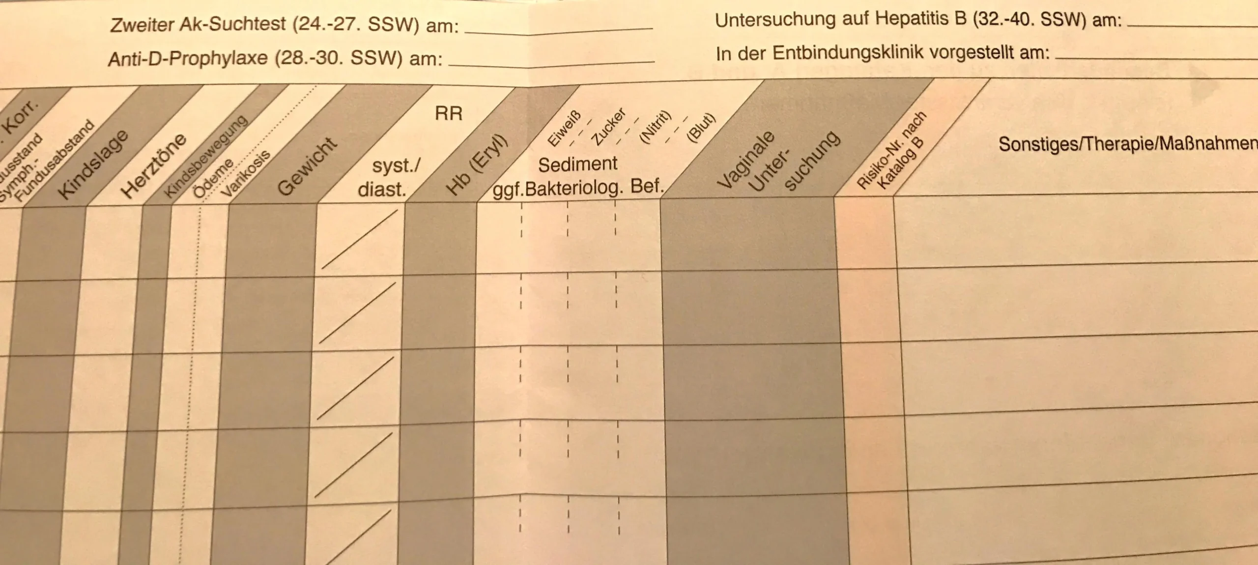 mutterpass gravidogramm - Was ist ein Gravidogramm