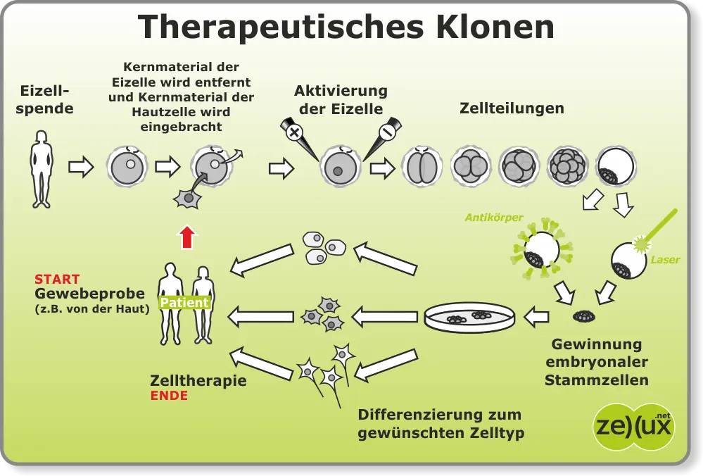 therapeutisches - Was ist ein therapeutisches Mittel