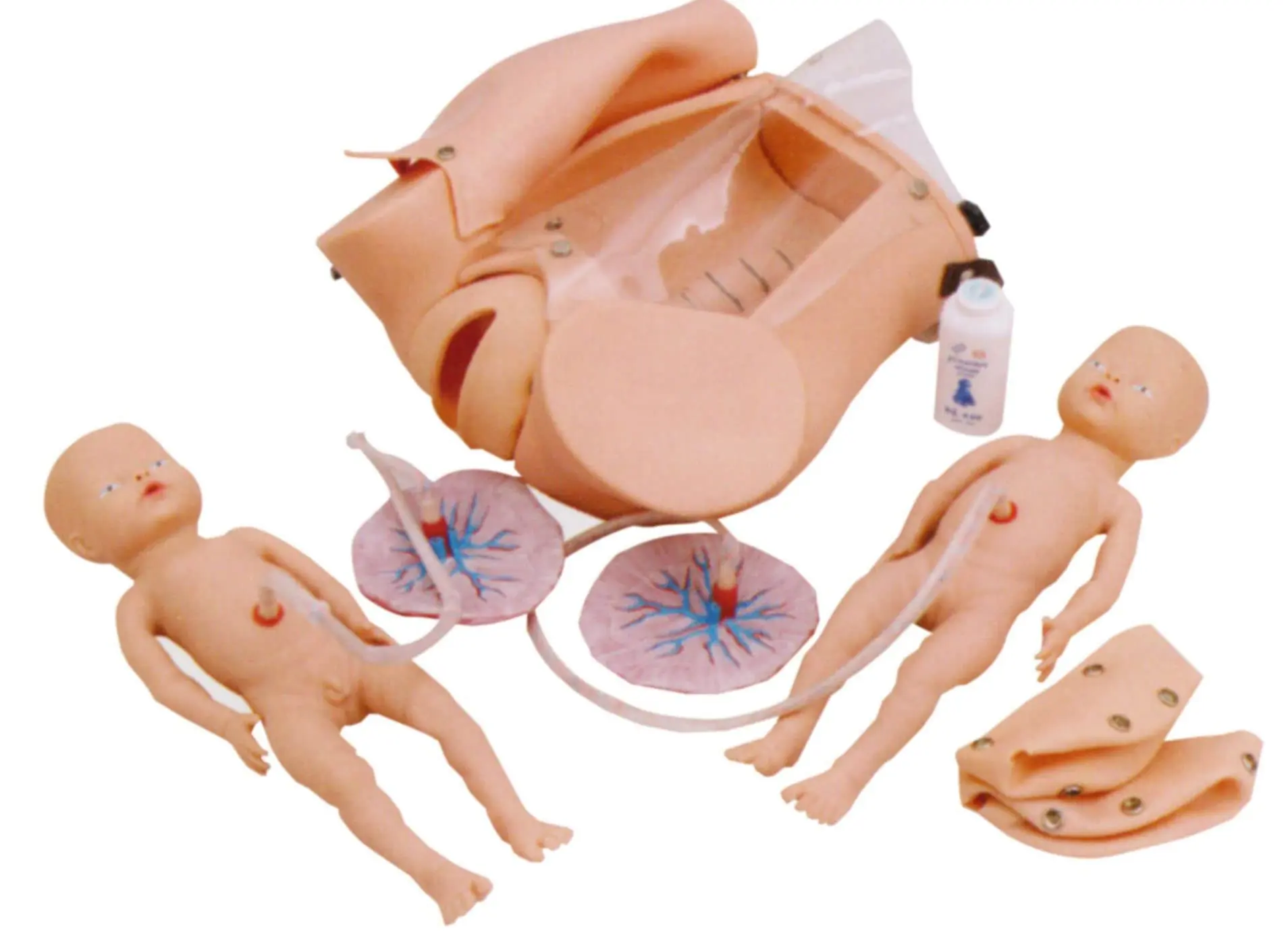 dystokie geburt - Was ist eine dystokie