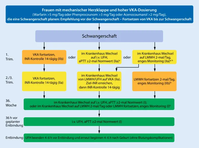 leitlinien schwangerschaft - Was ist eine S2k Leitlinie