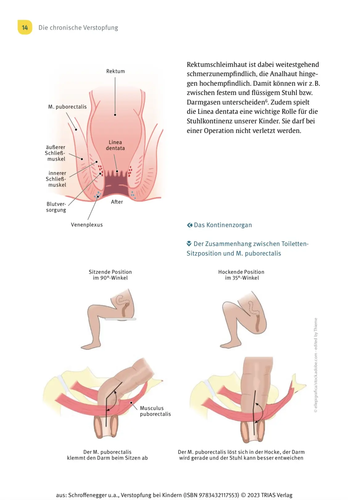 kleinkinder verstopfung - Was ist für Kleinkinder abführend