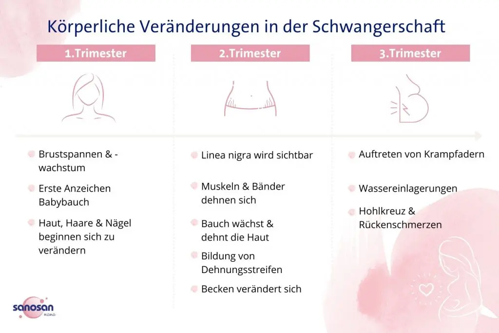 schwangerschaft brust wächst nicht - Was ist wenn eine Brust nicht wächst