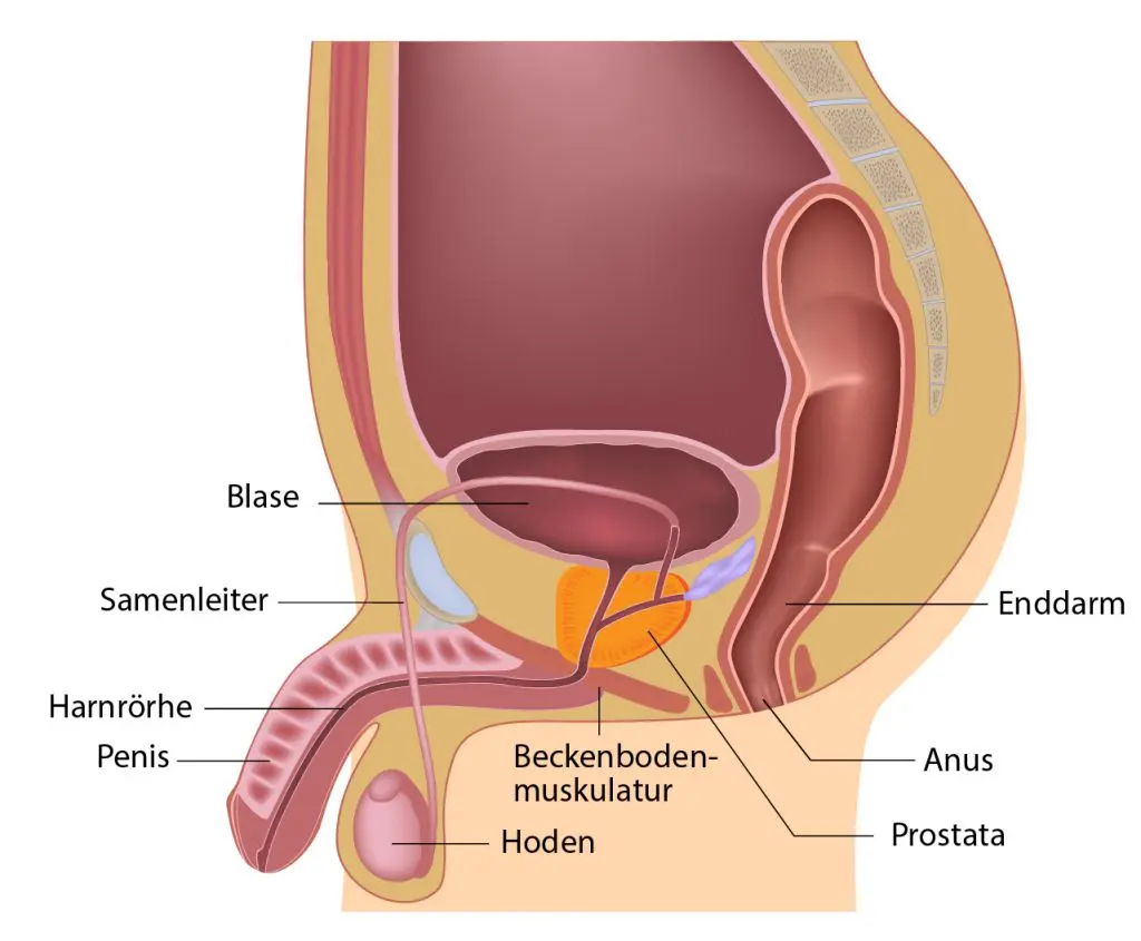 ziehende unterbauchschmerzen - Was kann das sein wenn der Unterbauch weh tut