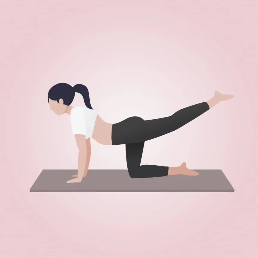 hebamme jana mertens - Was kann eine Hebamme machen