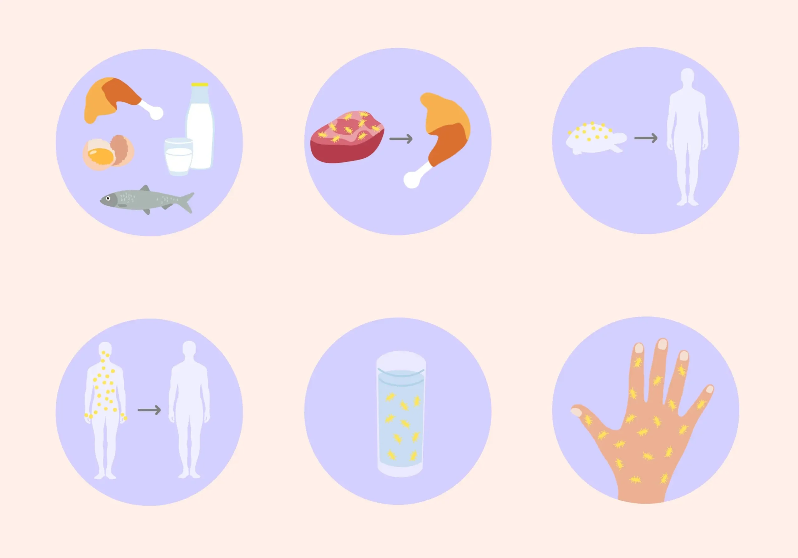 salmonellen symptome - Was kann man gegen Salmonellen tun