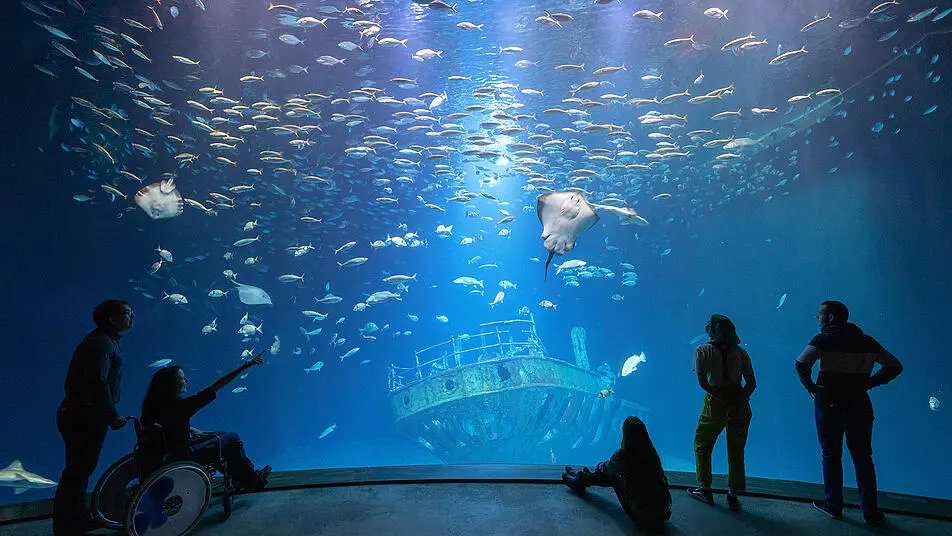 ausflüge mit kleinkindern - Was kann man mit einem 4 jährigen machen