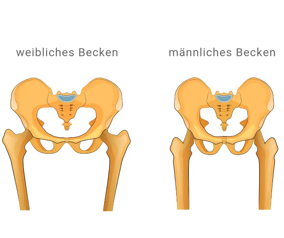 Becken lockern vor Geburt: Vorbereitung auf die Wehen und Entbindung - Was lockert den Beckenboden becken lockern vor geburt - Was lockert den Beckenboden
