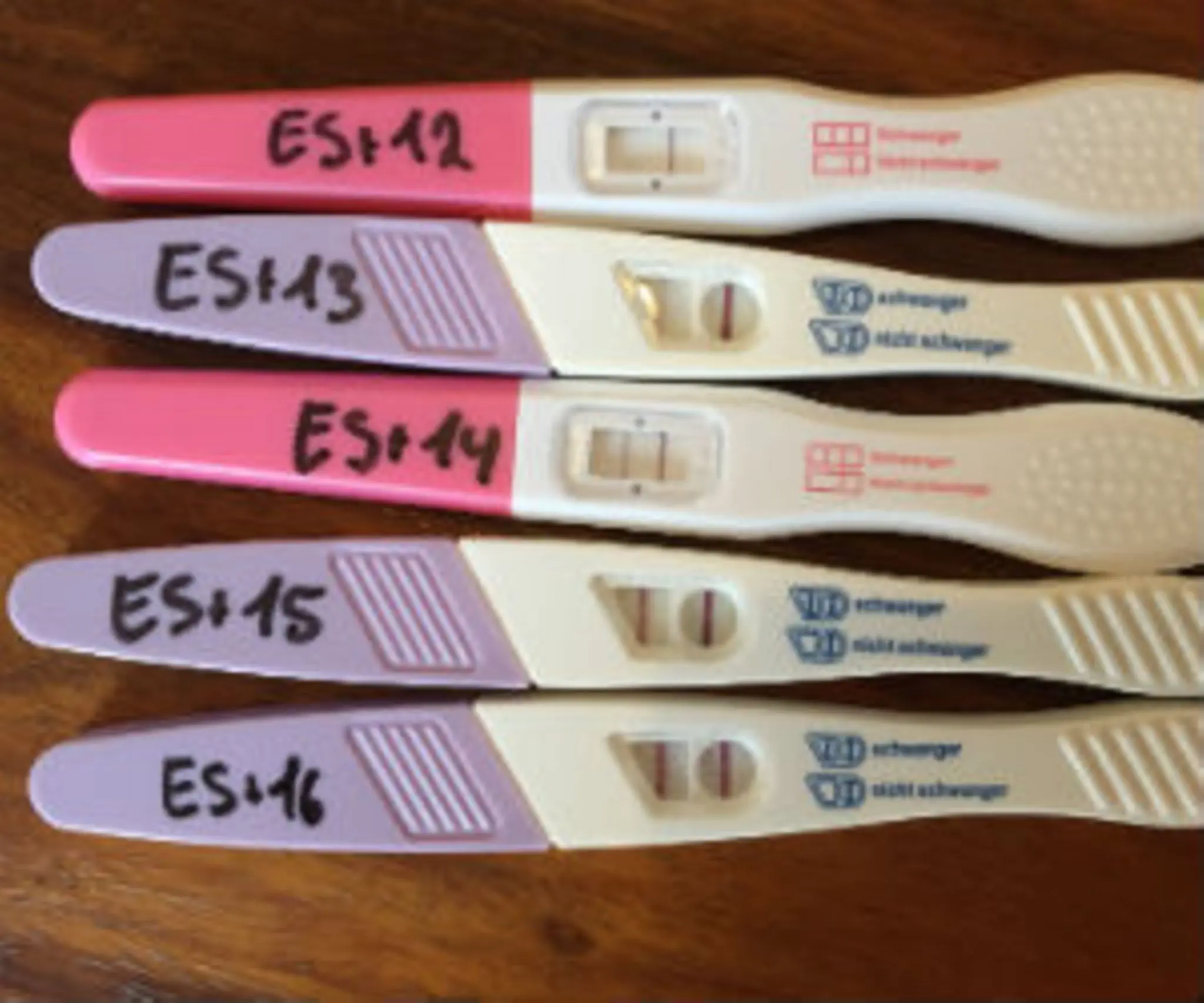 schwangerschaftstest abgelaufen - Was macht ein Schwangerschaftstest ungültig