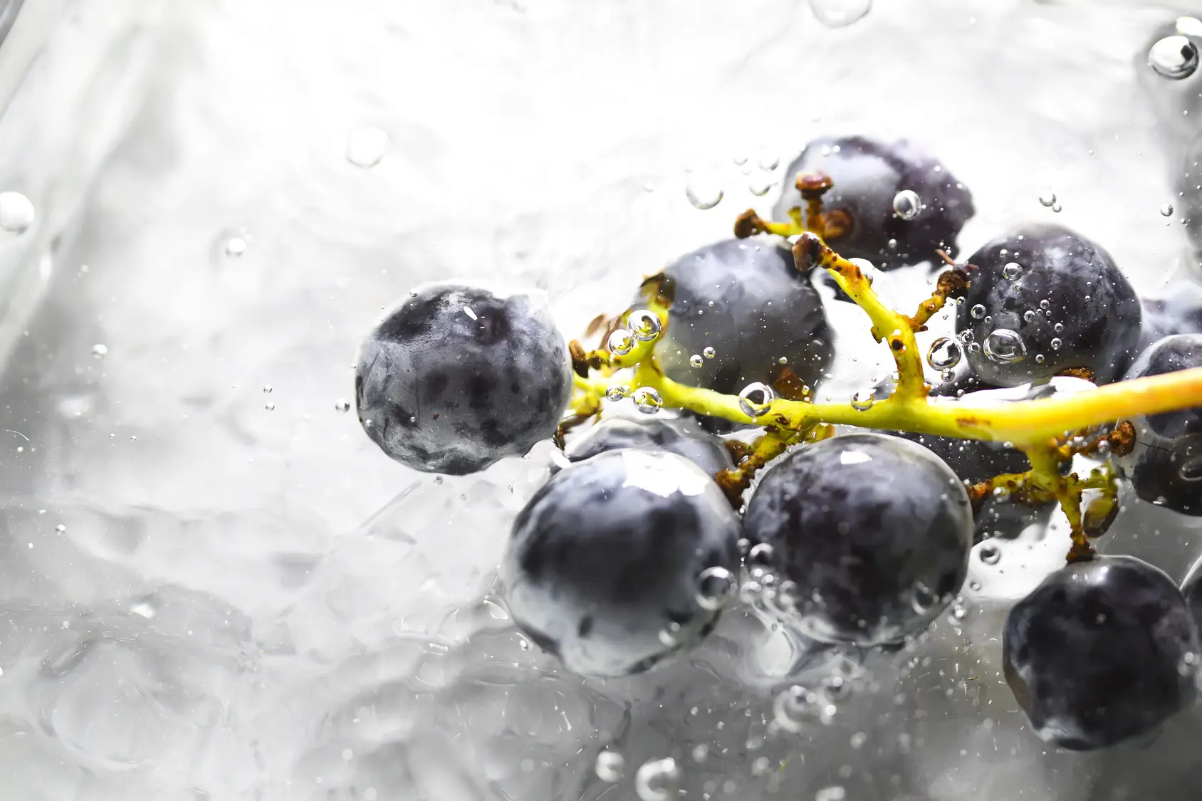 resveratrol schwangerschaft - Was macht Resveratrol im Körper