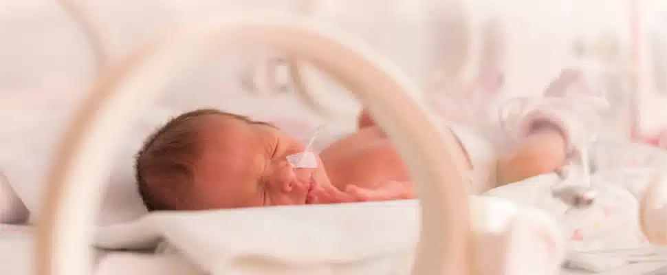 brutkasten baby - Was passiert im Brutkasten