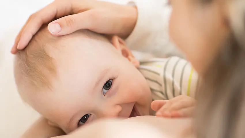 gehirn mutter nach geburt - Was passiert im Gehirn beim Stillen