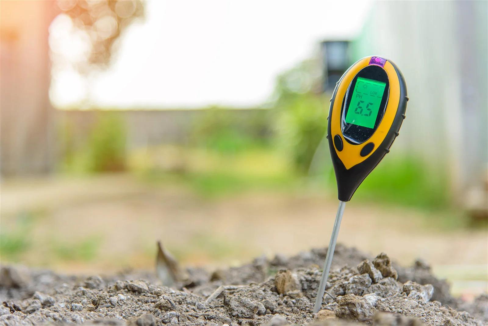 ph wert geburt niedrig - Was passiert wenn der pH-Wert im Boden zu niedrig ist