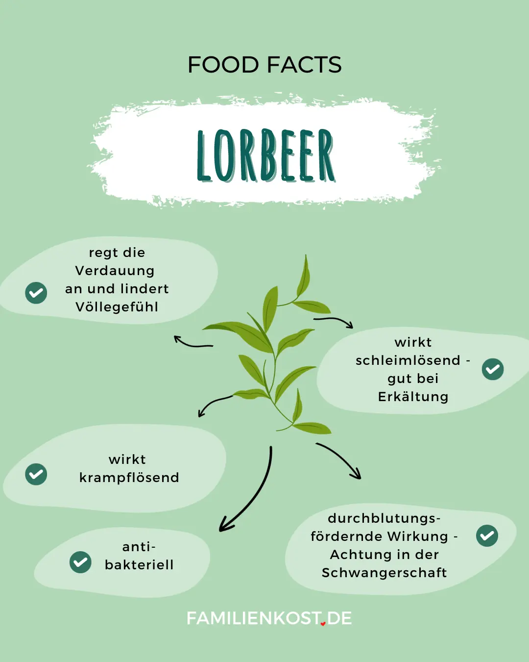 lorbeerblätter schwangerschaft - Was passiert wenn man Lorbeerblätter ist