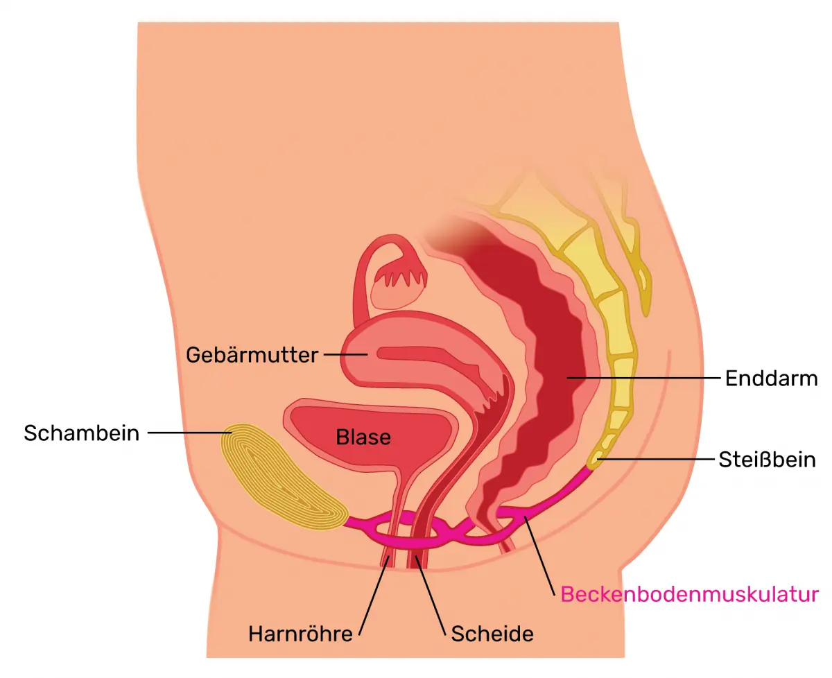 darmbakterien in der schwangerschaft gefährlich - Was passiert wenn man zu viele Darmbakterien zu sich nimmt