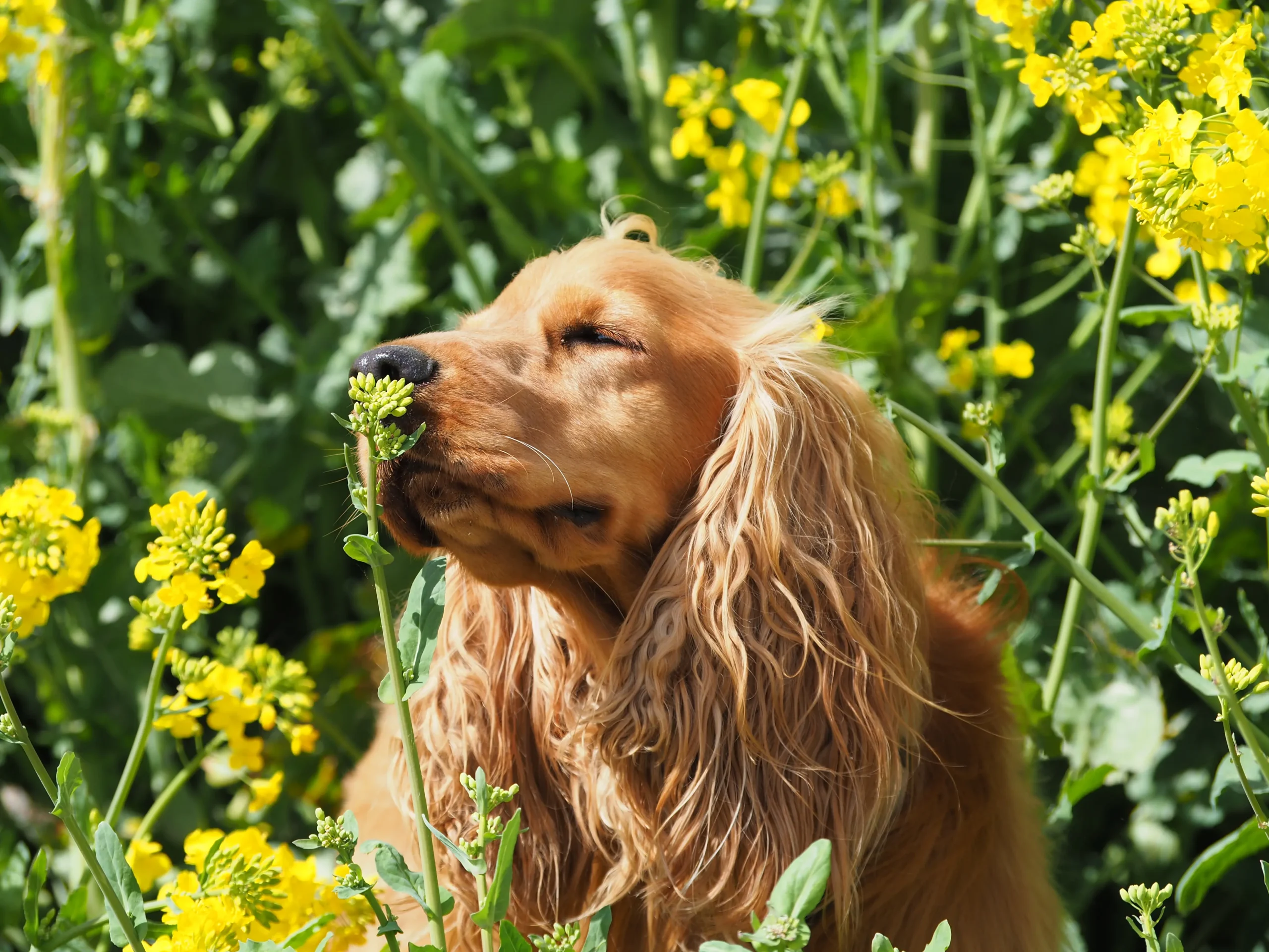Blutwerte MCH zu hoch: Was bedeutet das? - Was sagen die Blutwerte MCV und MCH aus blutwerte mch zu hoch - Was sagen die Blutwerte MCV und MCH aus