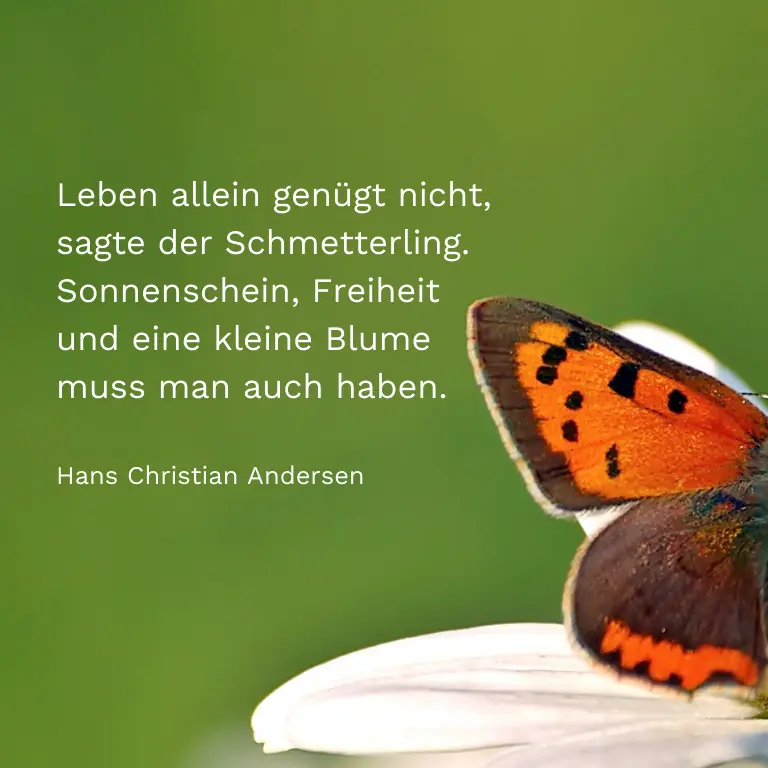 blumen gedichte kurz - Was sagen uns Blumen