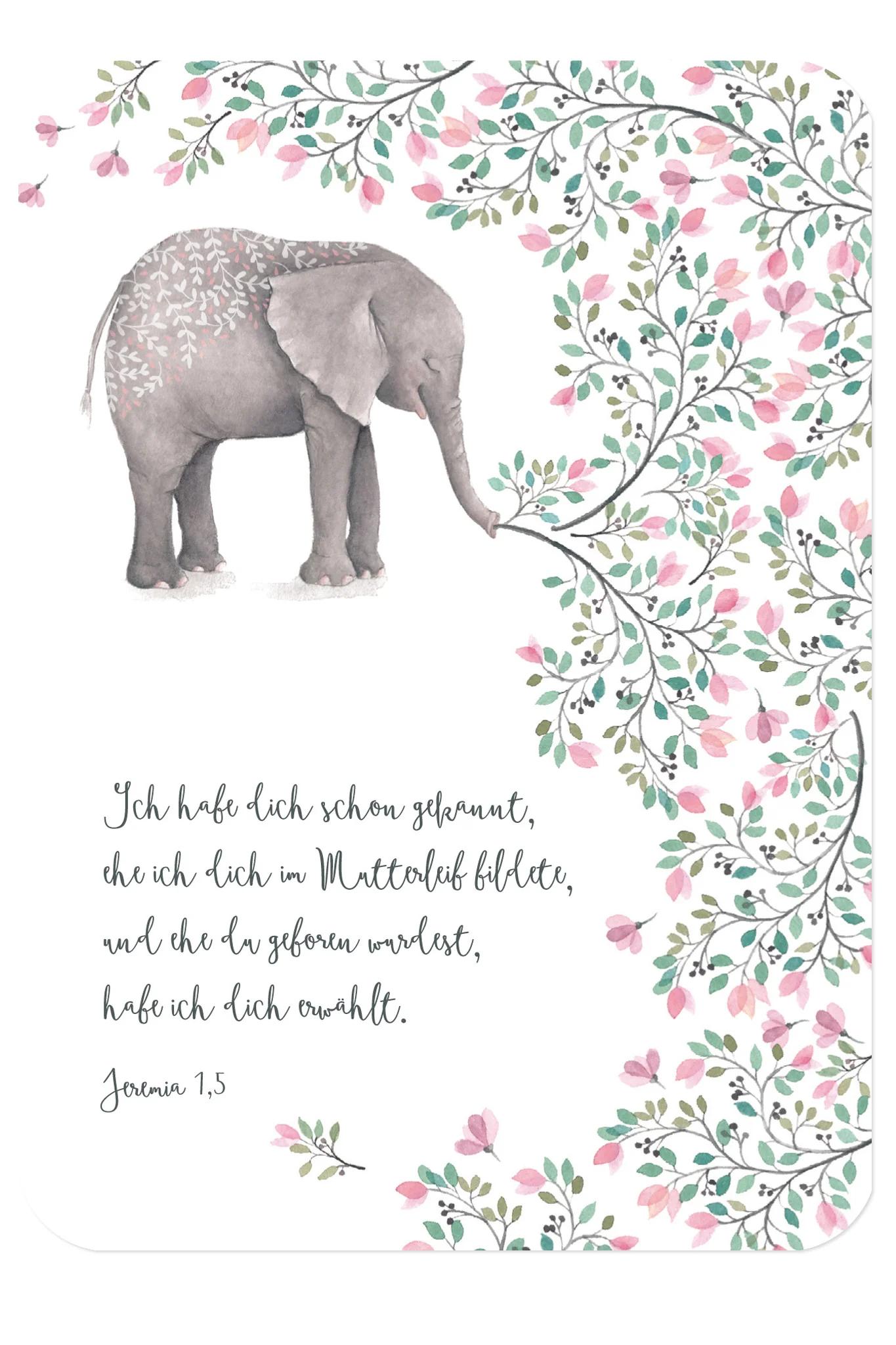 geburt vers - Was sagt die Bibel über die Geburt