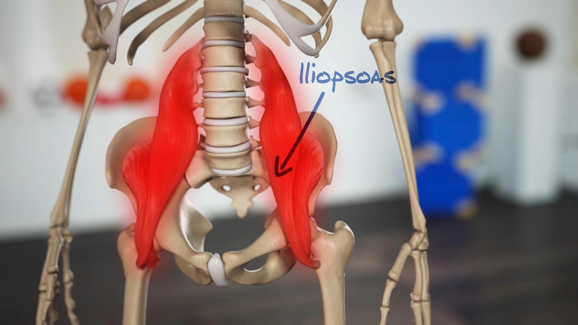 krämpfe in der hüfte - Was tun bei Hüftschmerzen die ins Bein ziehen