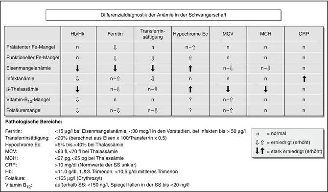 hämatokrit zu niedrig schwangerschaft - Was tun wenn Hämatokrit zu niedrig ist