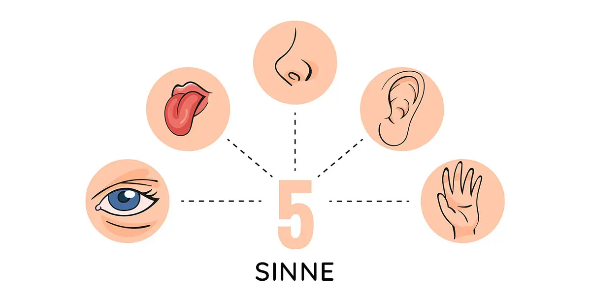 sinne wahrnehmung - Was versteht man unter Sinneswahrnehmung