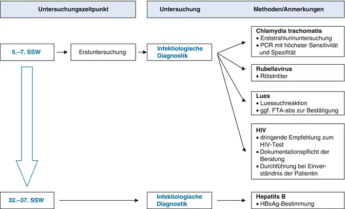 torch test schwangerschaft - Was wird bei TORCH getestet