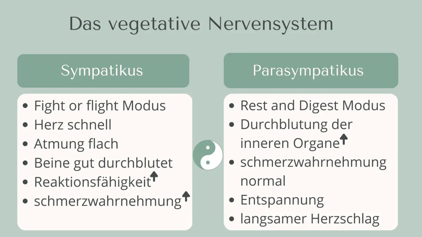 atemübungen für die geburt - Welche Atemübungen bei Geburt