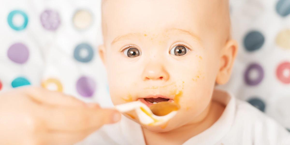 Hipp Schwangerschaft: Ein Kampf um den Babybrei-Markt - Welche billigmarke steckt hinter HiPP hipp schwangerschaft - Welche billigmarke steckt hinter HiPP