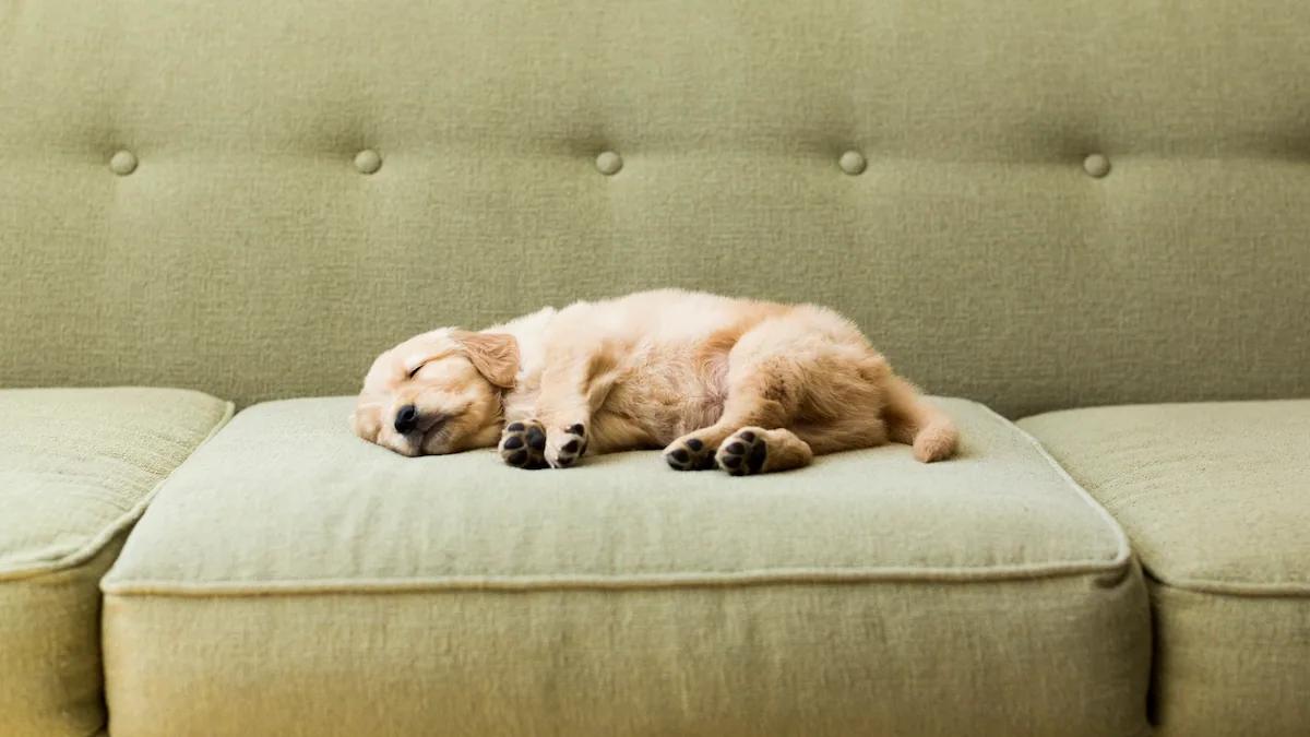 moltex feuchttücher - Welche Feuchttücher in die Waschmaschine