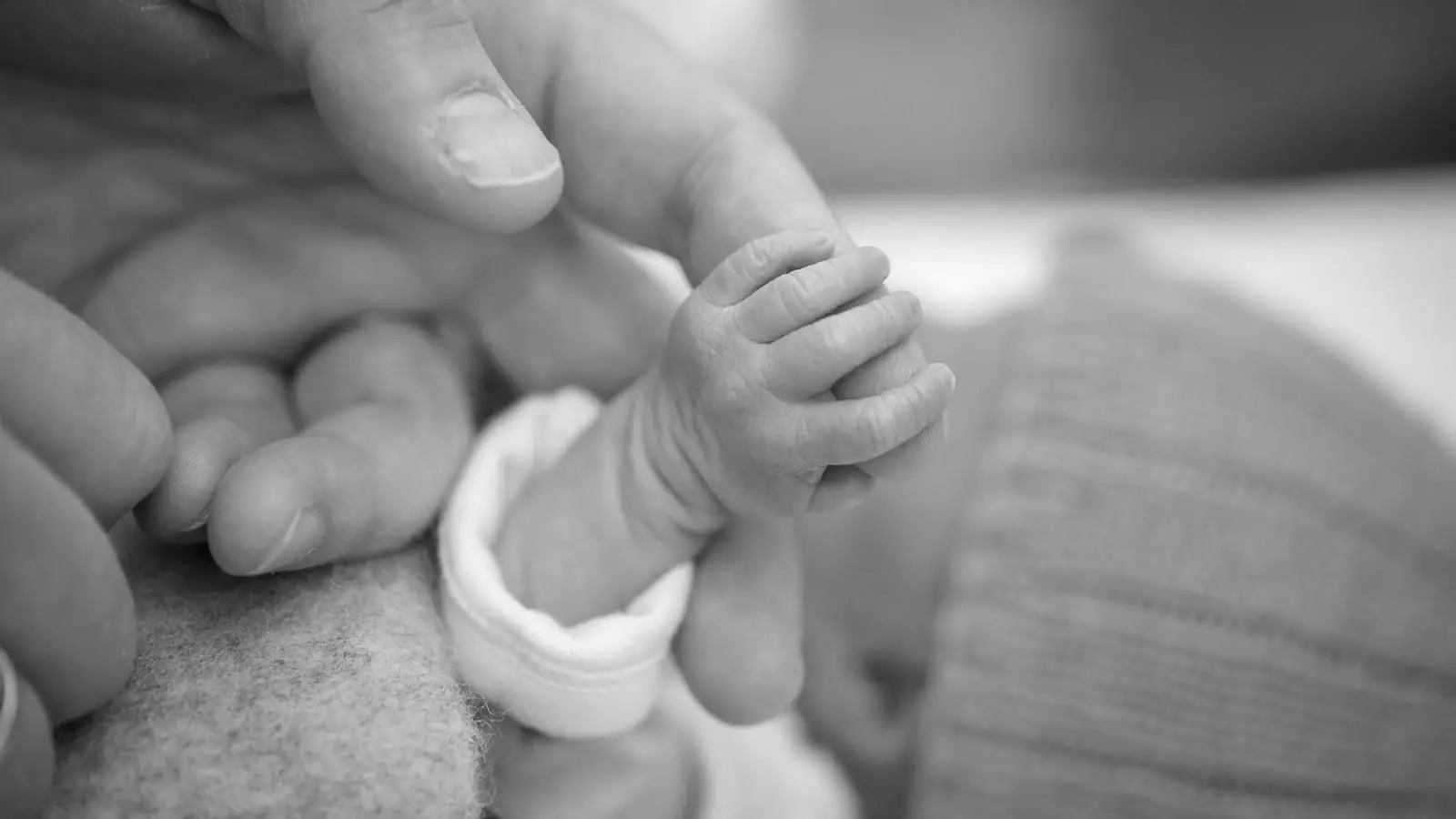 stille geburt grund - Welche Gründe kann es haben das ein Fötus keinen Herzschlag mehr hat