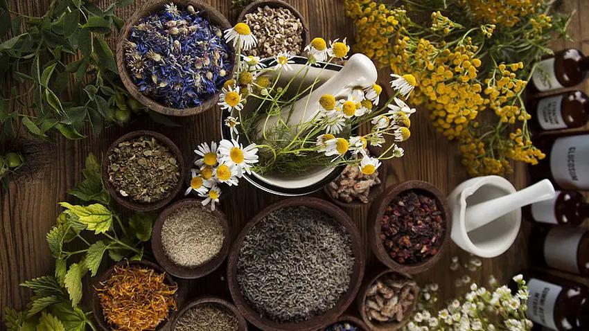 gallensteine vorbeugen - Welche Lebensmittel reinigen die Galle